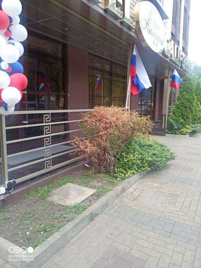 Гостиница Калифорния Геленджик-123