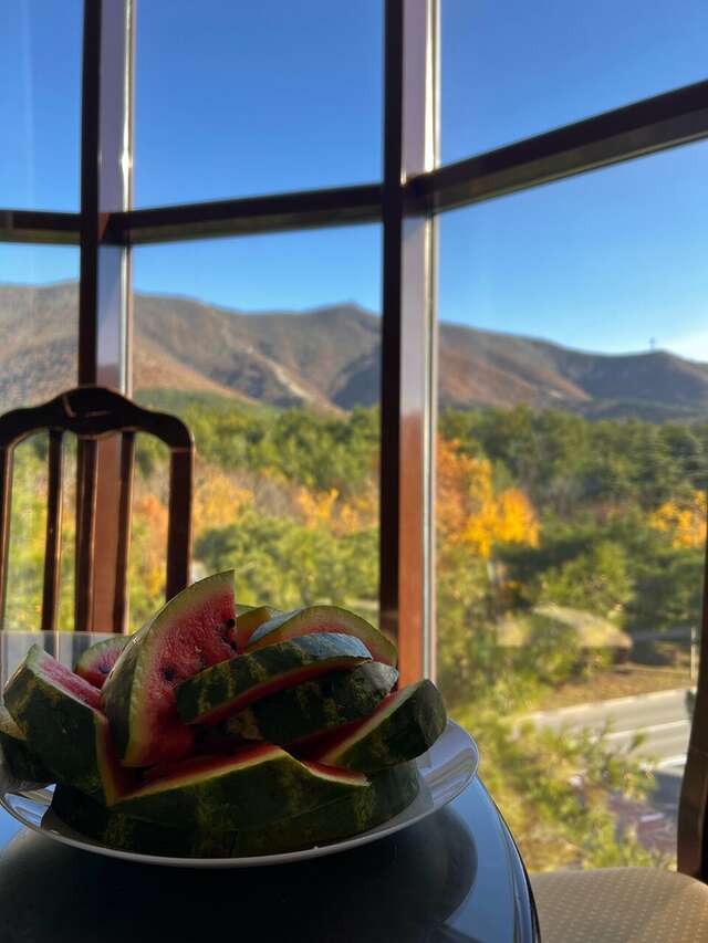 Гостиница Калифорния Геленджик-14