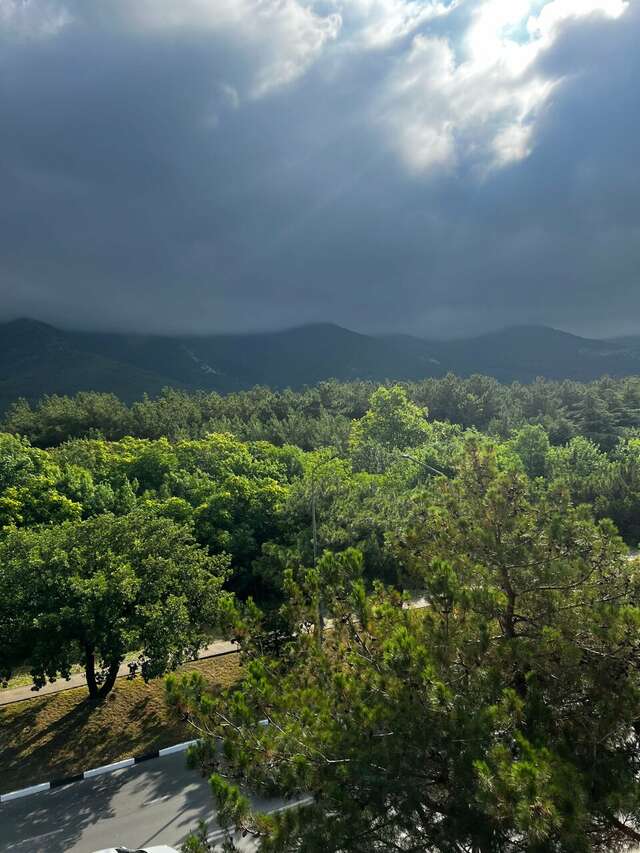 Гостиница Калифорния Геленджик-34