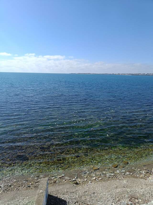 Гостиница Калифорния Геленджик-57